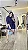 Conjunto Mari - Imagem 1