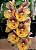 Catasetum Orchidglade 'Davie Ranches' - Imagem 2