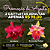 Dupla de Cattleyas - Chia-Lin e Amazing Thailand - Imagem 1