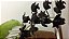 Fdk Midnight Lace - Adulta - Imagem 2