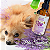 ÁGUA DE LAVANDA PET - 200ML - Imagem 6