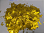 Confete decorativo dourado para balões picadinho - 15 gramas - Imagem 1