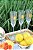 Set Taça Champagne Palm - 4 Pessoas - Imagem 2