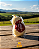 Queijo Cabacinha - 500g - Imagem 1