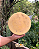 Queijo Artesanal Alagoa Curado - 6 Meses - 4,5kg - Imagem 1