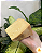 Queijo Artesanal Alagoa Curado 6 meses - Cunha 670g - Imagem 3