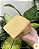 Queijo Artesanal Alagoa Curado 6 meses - Cunha 670g - Imagem 2