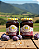 Doce de leite com Ameixa - 2 potes 650g - Imagem 2