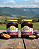 Doce de leite com Ameixa - 2 potes 650g - Imagem 2