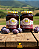 Doce de leite com Ameixa - 2 potes 650g - Imagem 1