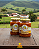 Doce de Abóbora com coco - 2 Potes de 650g - Imagem 4