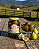 Figo em Calda 650g - Imagem 1