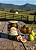 Figo em Calda 650g - Imagem 2