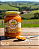 Kit Formiga de São Lourenço - Imagem 2