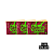Combo Piteira COLLAB Bem Bolado x Girls in Green - Verge - Super Large - Imagem 1