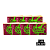 Combo Piteira COLLAB Bem Bolado x Girls in Green - Verge - Super Large - Imagem 3
