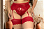 CINTA LIGA - PLUS SIZE (não acompanha calcinha) - Imagem 1