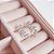Brincos Ramo detalhes Zirconia Prata 925 - Imagem 2