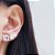 Conjunto Colar e Brincos Zirconia Lilas Redonda Cravejada Prata 925 - Imagem 5