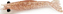 CAMARÕES MONSTER M3X X-MOVE 12CM - ESCOLHA A COR - Imagem 1