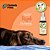 Floral de Bach Para Pet Resgate - Imagem 3