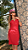VESTIDO KAREN VERMELHO - Imagem 4