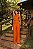 CONJUNTO RAISSA - LARANJA - Imagem 3
