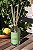 Aromatizador de Ambientes Limão Fresco - Vidro 250ml - Imagem 3