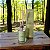 Aromatizador de Ambientes Limão Fresco - Vidro 250ml - Imagem 1