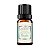 Essência para Aromatizador Elétrico - Bambu 10 ml - Imagem 1