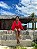 Kimono - Imagem 1