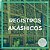 Leitura de Registros Akáshicos - Imagem 2