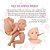 Kit Bebe Reborn Molde Abigail Menino Com Corpo De Silicone - Imagem 2