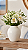 Vaso Decorativo em Cerâmica Branco Médio - Imagem 1