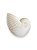 Vaso Decorativo Concha Nautilus Off White em Cerâmica - Imagem 4