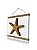 Kit 2 Placas Decorativas Concha e Estrela Decoração de Praia Náutica - Imagem 4