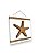 Kit 2 Placas Decorativas Concha e Estrela Decoração de Praia Náutica - Imagem 3