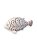 Enfeite Peixe Branco com Cauda Rosa em Resina 20x11x5 - Imagem 2