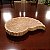 Centro de Mesa Concha Bege em Madeira 3x26,5x19,5 cm - Imagem 1