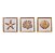 Kit com 3 Quadros Coral, Estrela e Concha 45x45 em Madeira - Imagem 3