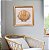 Kit com 2 Quadros Concha e Estrela 45x45 em Madeira - Imagem 3