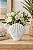 Vaso Decorativo Concha Shell Branco 21x23x8 em Cerâmica - Imagem 1