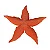 Enfeite Estrela do Mar Cor Coral em Cerâmica 28x29x4 - Imagem 2