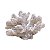 Enfeite Coral Branco em Resina 8x13x12 cm - Imagem 3