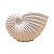 Vaso Concha Nautilus Branco em Cerâmica 14x20x10 cm - Imagem 2