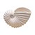 Vaso Concha Nautilus Branco em Cerâmica 14x20x10 cm - Imagem 5