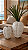 Vaso Decorativo Conchas Grande Branco em Cerâmica 23x15x15Cm Decoração Náutica Praia - Imagem 1