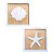 Kit 2 Quadros Náuticos Estrela e Concha Brancos em Madeira 25x25x3 cm - Imagem 3