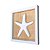 Kit 2 Quadros Náuticos Estrela e Concha Brancos em Madeira 25x25x3 cm - Imagem 6