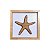 Kit 2 Quadros Náuticos Estrela e Concha Marrom em Madeira 25x25x3 cm - Imagem 5